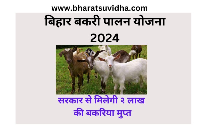 bihar bakri palan yojana 2024 online apply