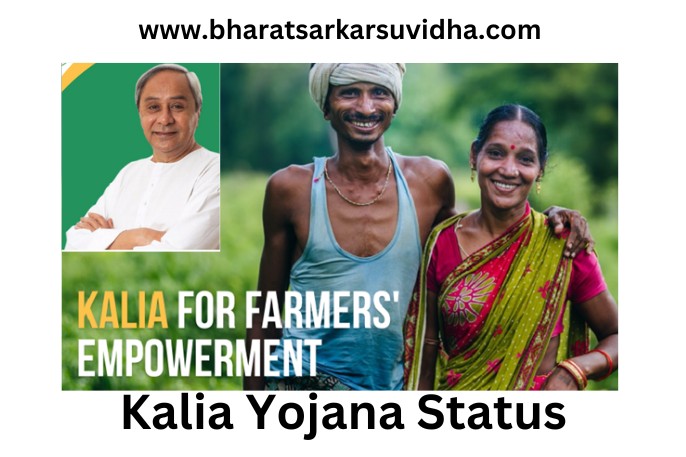 kalia yojana status